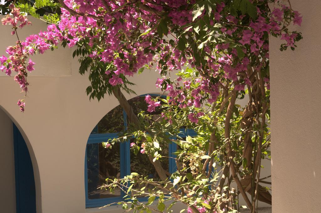 Pasalimani Hotel Çeşme Kültér fotó